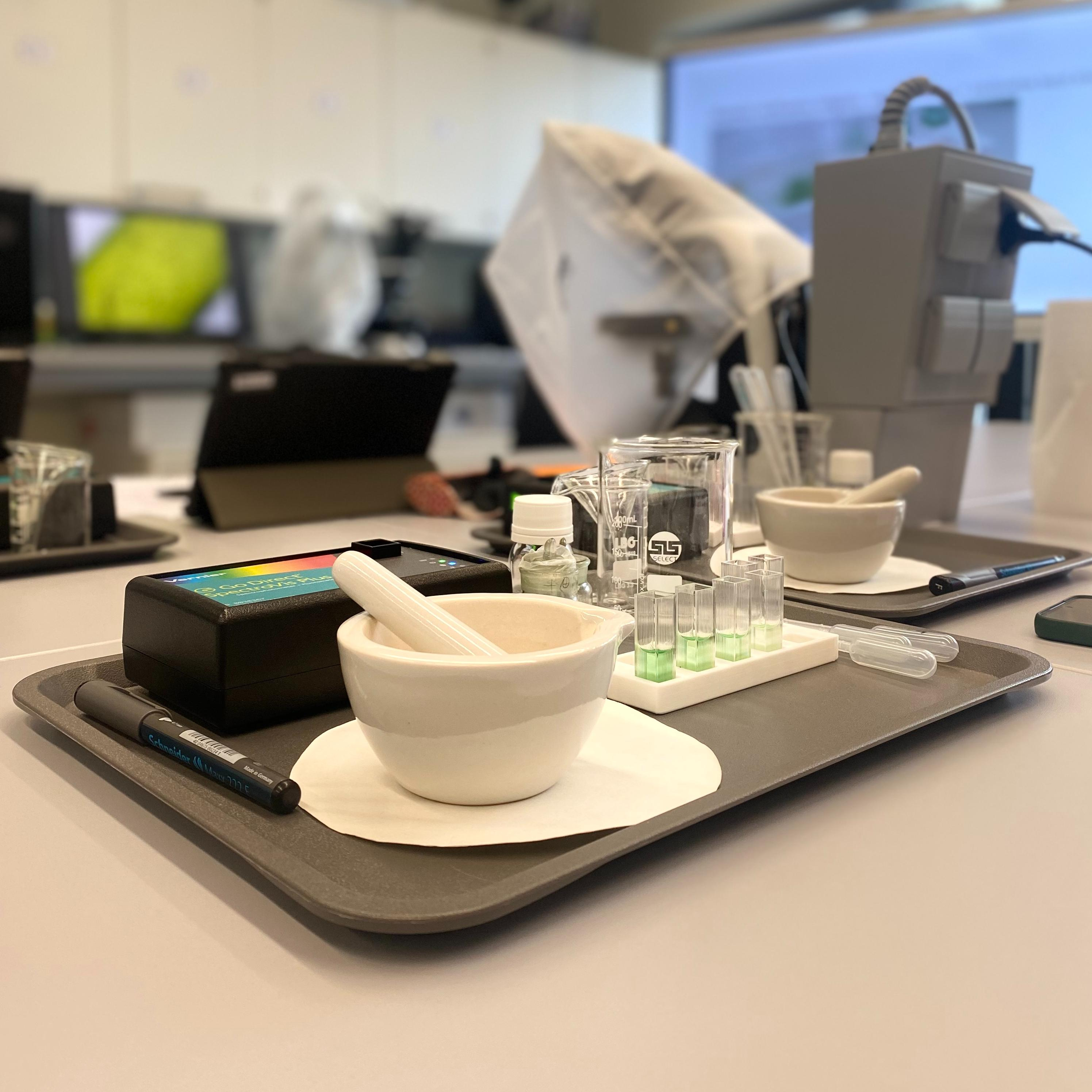 image 20250308 094543 414ea9a5