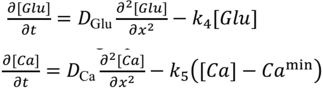 biofiz formules